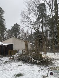 Gałęzie wzamin za uprzatniecie Garbatka Letnisko.