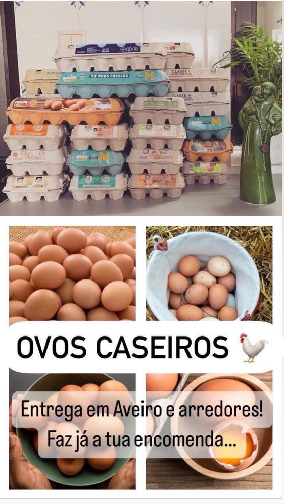 Legumes caseiros