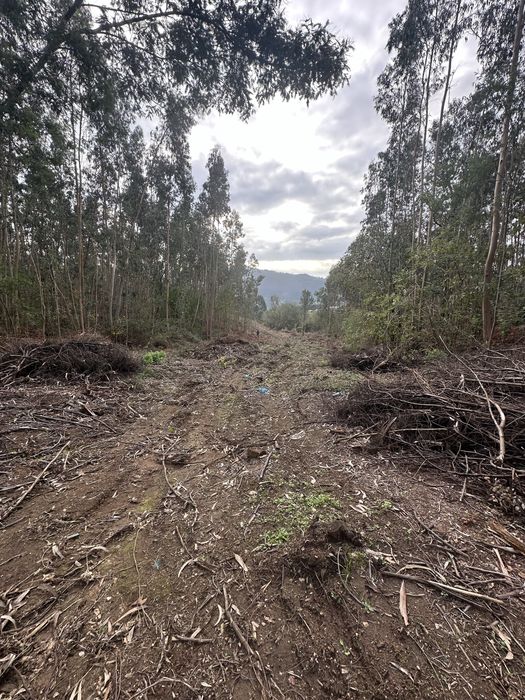 Terreno loteamento campo de golf 7000m2