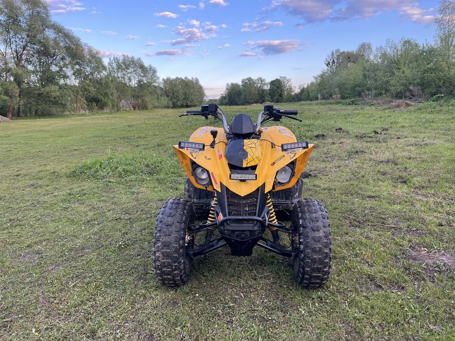 BRP DS 250 кубів 2007 року