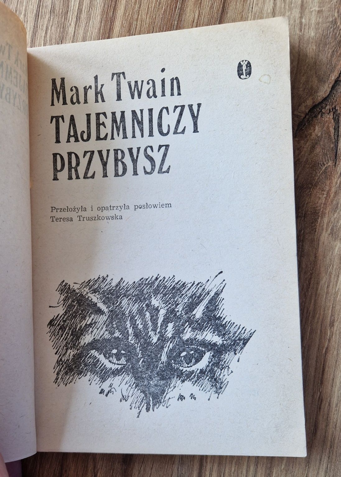 Tajemniczy przybysz - Mark Twain