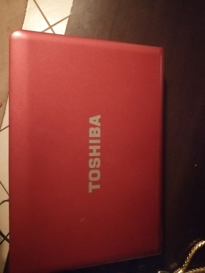 Portátil Toshiba NB510-115