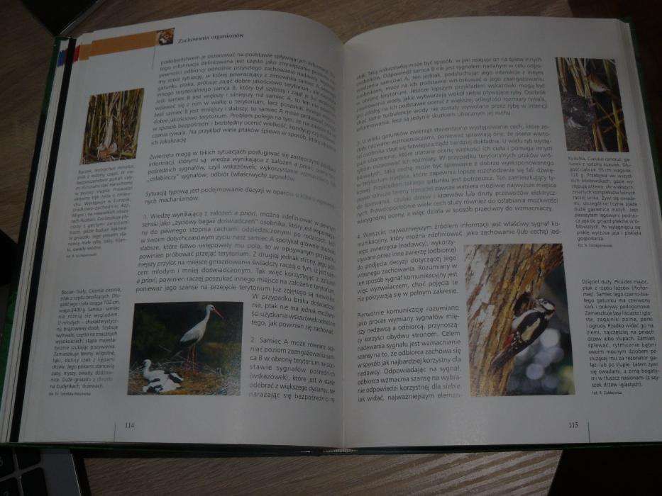 Encyklopedia PWN Biologia Spojrzenie na życie i Biosferę