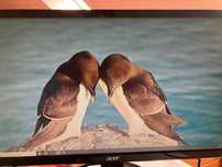 Monitor Acer K222HQL 21,5" – stan bardzo dobry