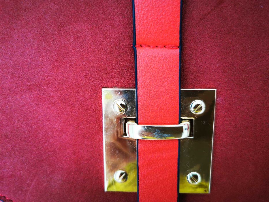 Listonoszka piękny żywy kolor