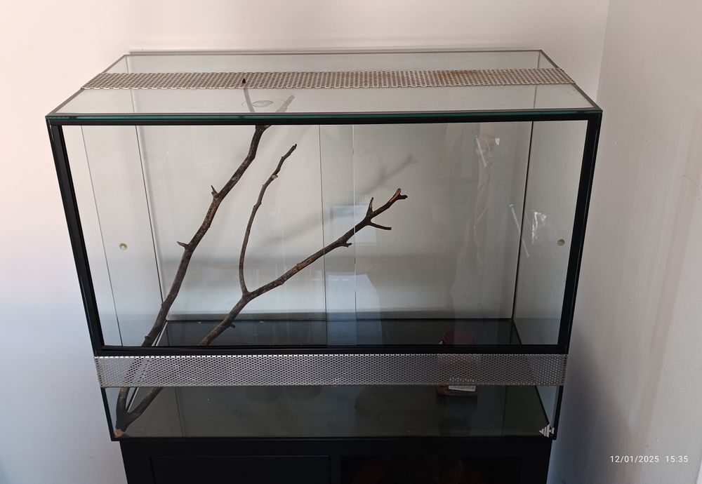 Terrário marca Scalare