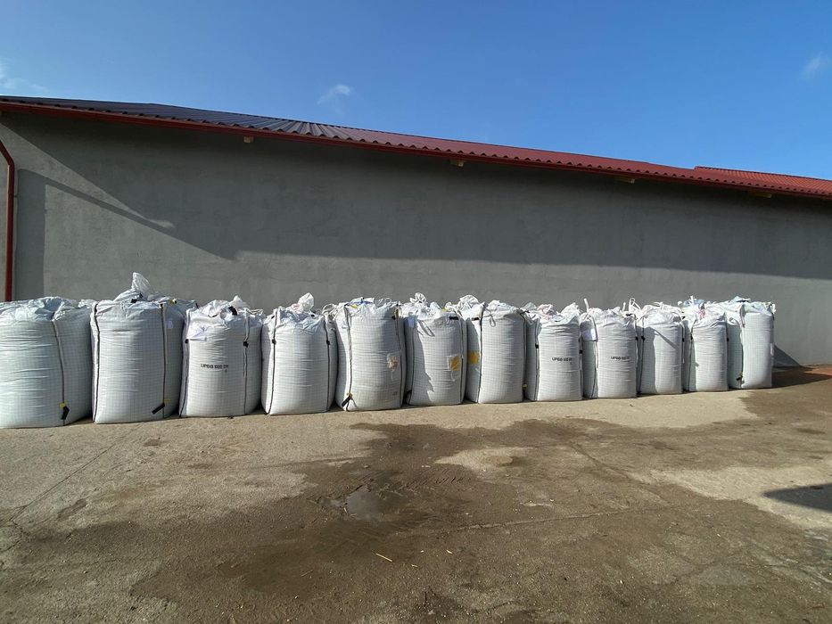 Kukurydza kiszona mokra,  ccm, big bag