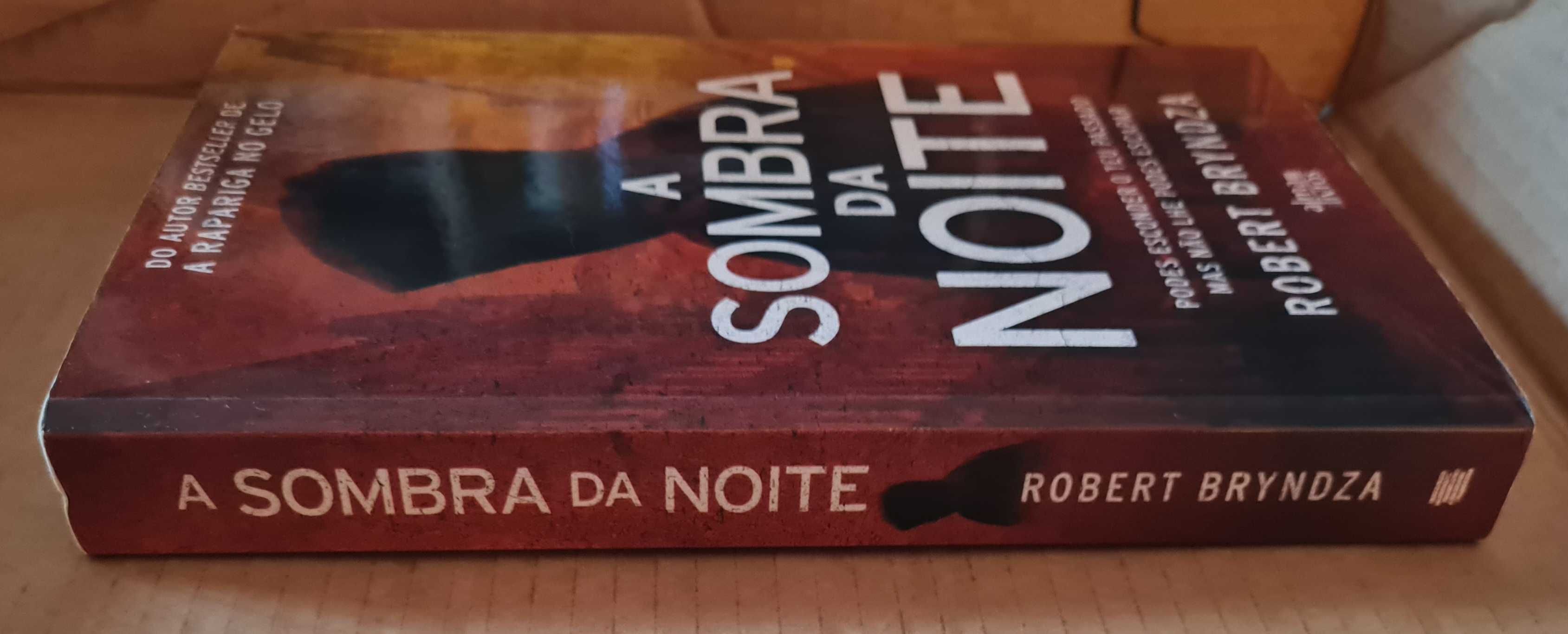 A Sombra da Noite de Robert Bryndza