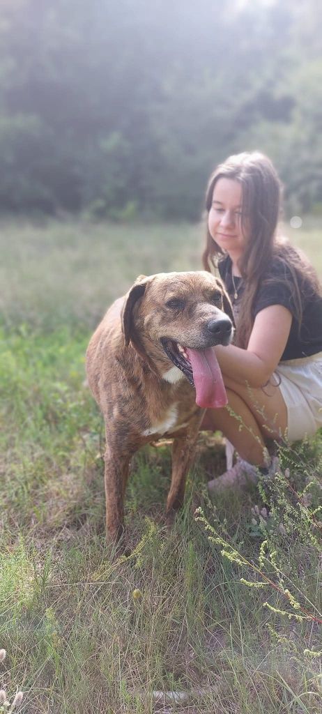 Mort - idealny kompan do adopcji!