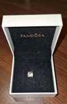 Pandora оригінальний шарм
