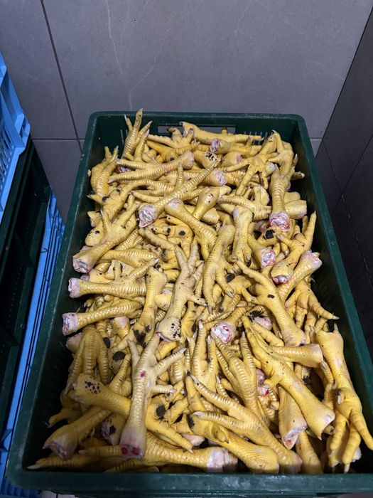 Продам лапи бройлера