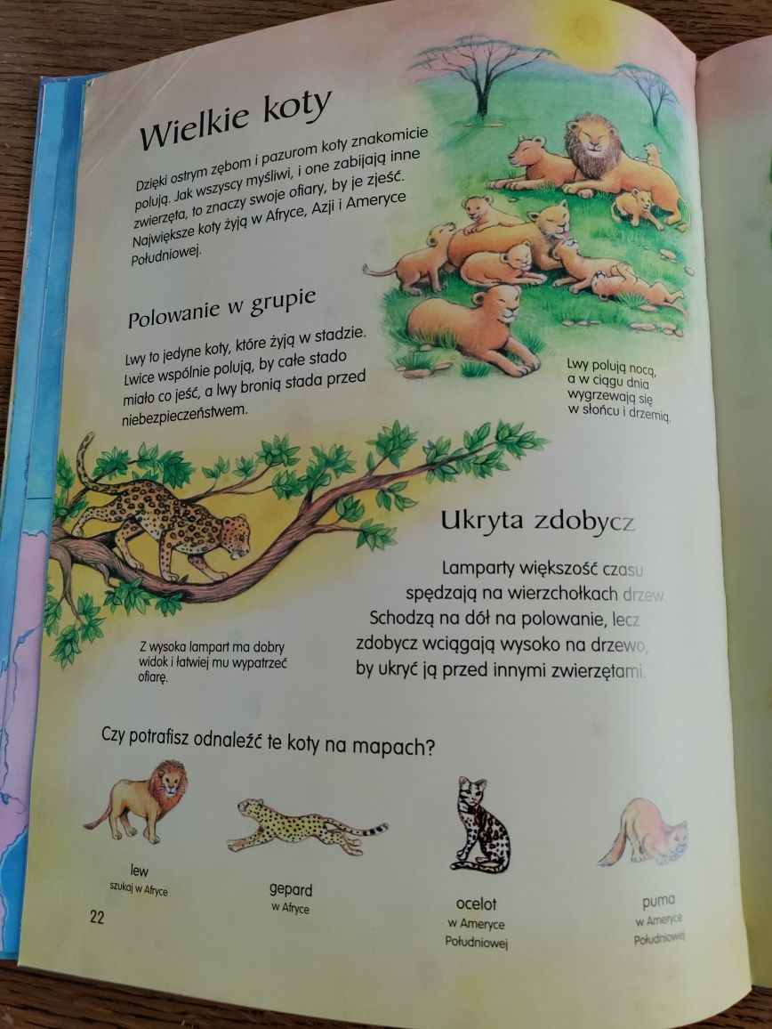 Przepiękny, edukacyjny, ilustrowany atlas zwierząt