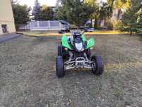 Quad Arctic CAT DVX 300