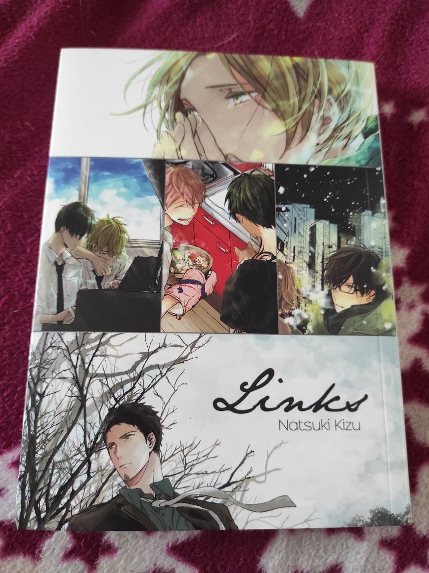 Links manga Natsuki Kizu