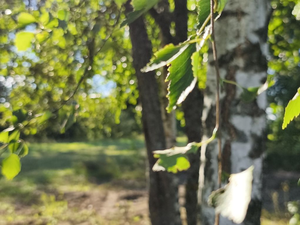 Piękne działki w okolicy jeziora Narie. Cisza natura. Super inwestycja