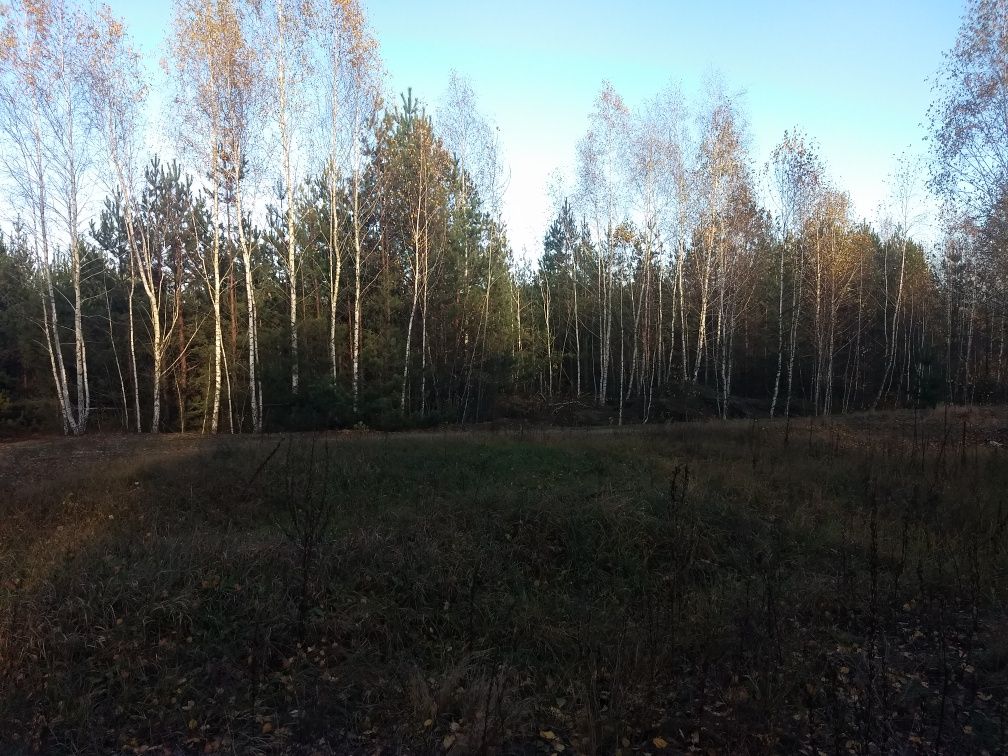 Земельна ділянка с. Дружня, Бучанського району, Київської області