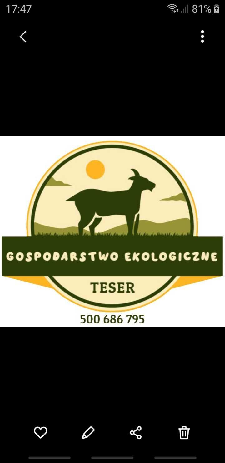 Sery kozie. Wędzone i podpuszczkowe z przyprawami.