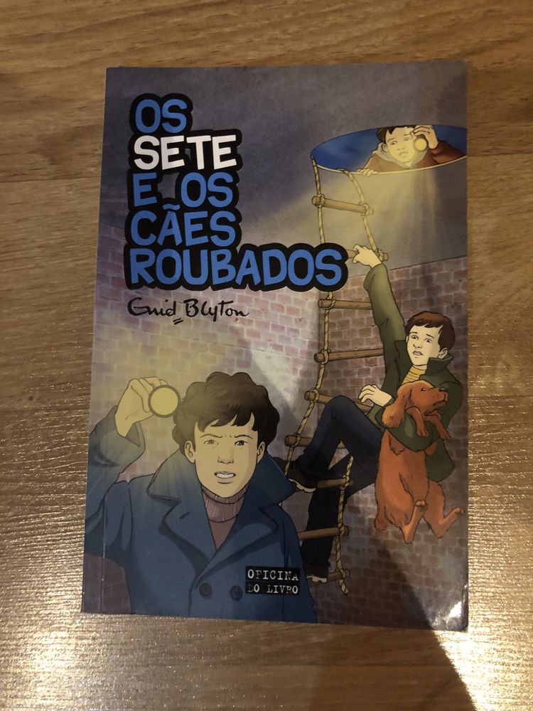 Livros da coleção Os Sete