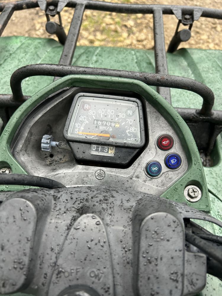 Yamaha grizzly 350