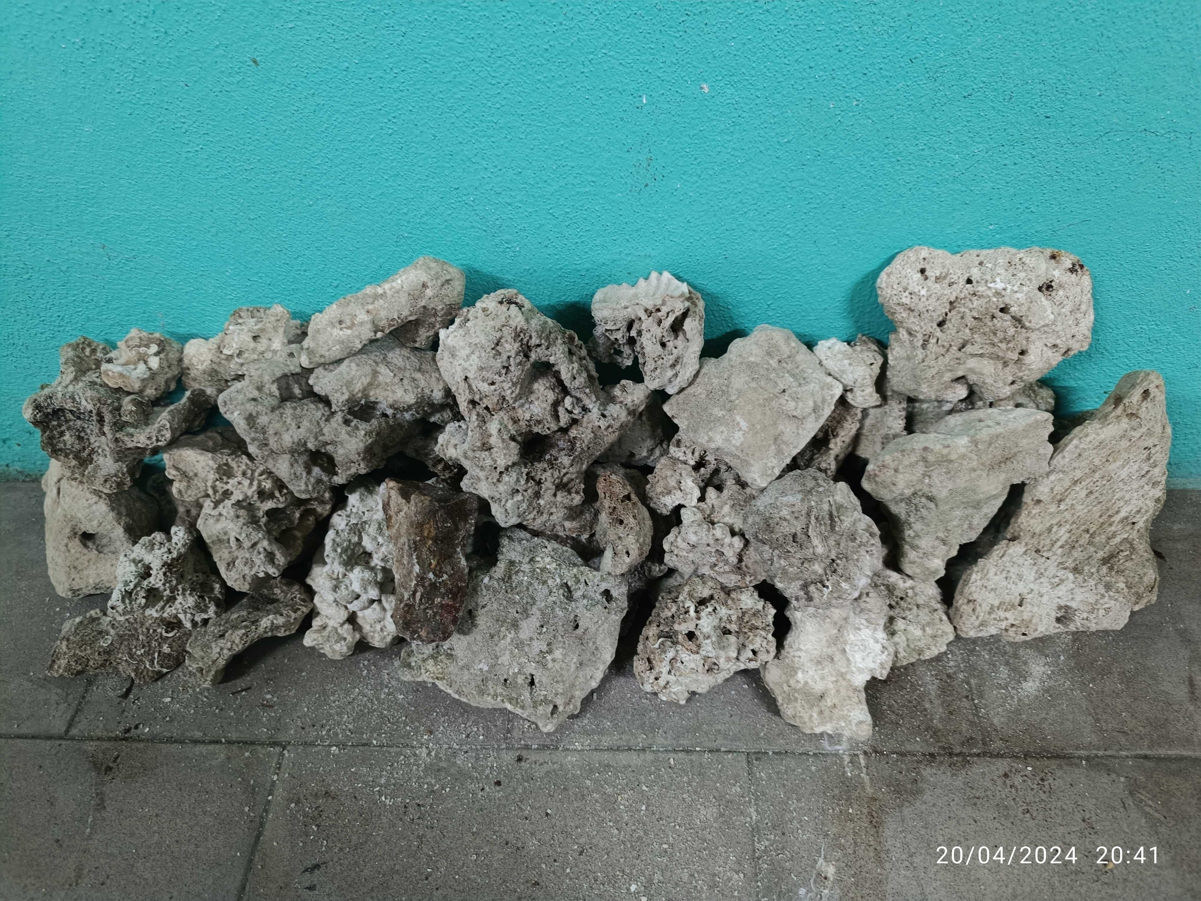 Vendo rocha de coral para aquários