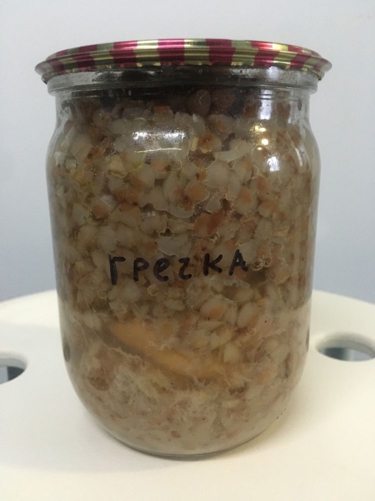 Каша гречана, горохова, рисова, перлова з мʼясом