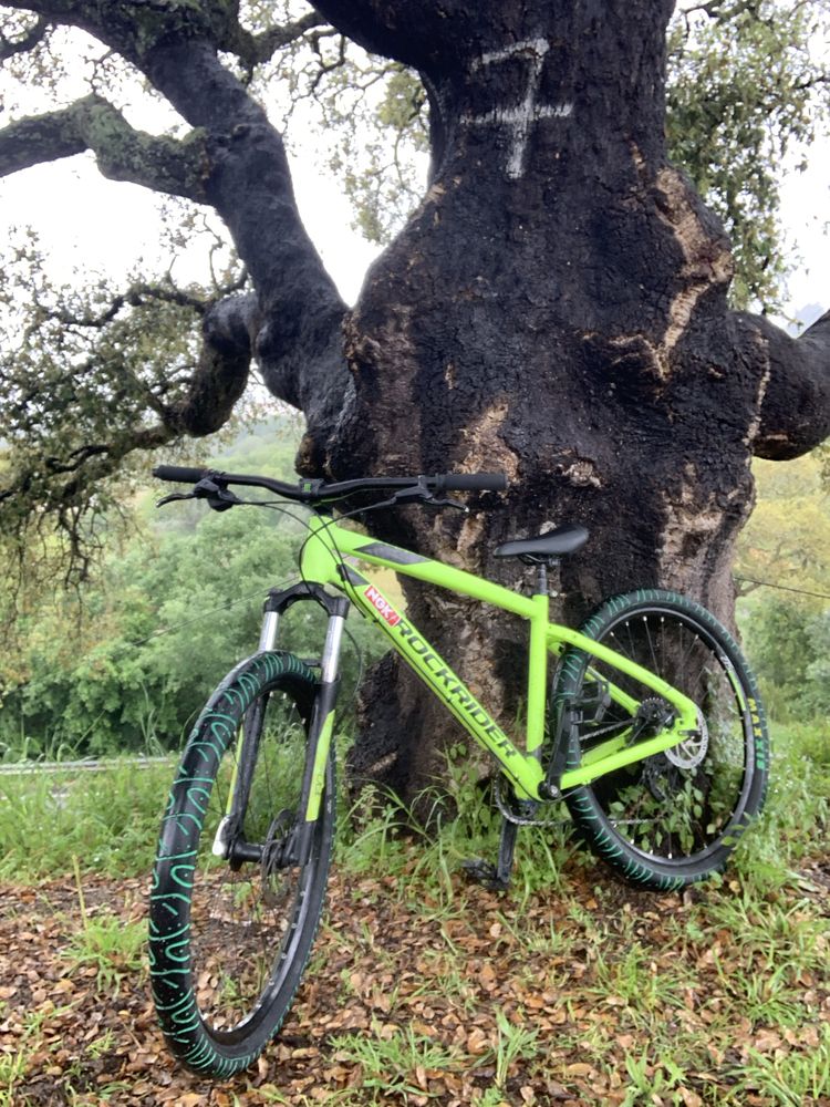 Bicicleta para wheeling.