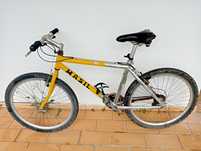 Vendo as duas bicicletas juntas, por 100.00 €.