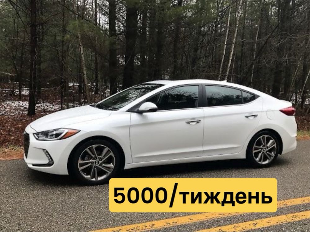 Оренда Hyundai Elantra/Sonata/Lf Київ