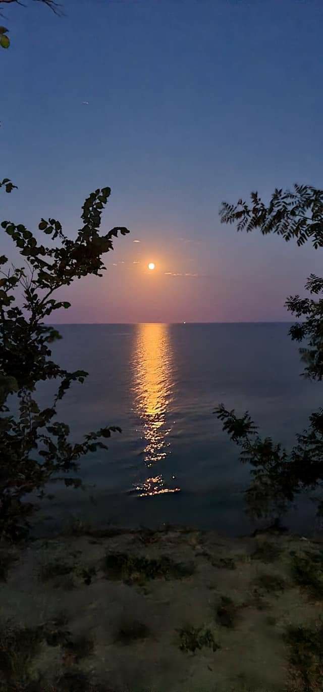 Відпочинок на морі! Будинок біля моря! Отдих в Курортном!