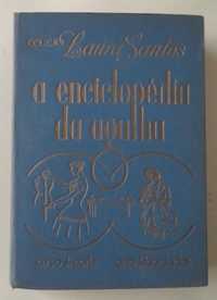 Enciclopédia da AGULHA / Livro de Laura Santos (Raro) c/OFERTA