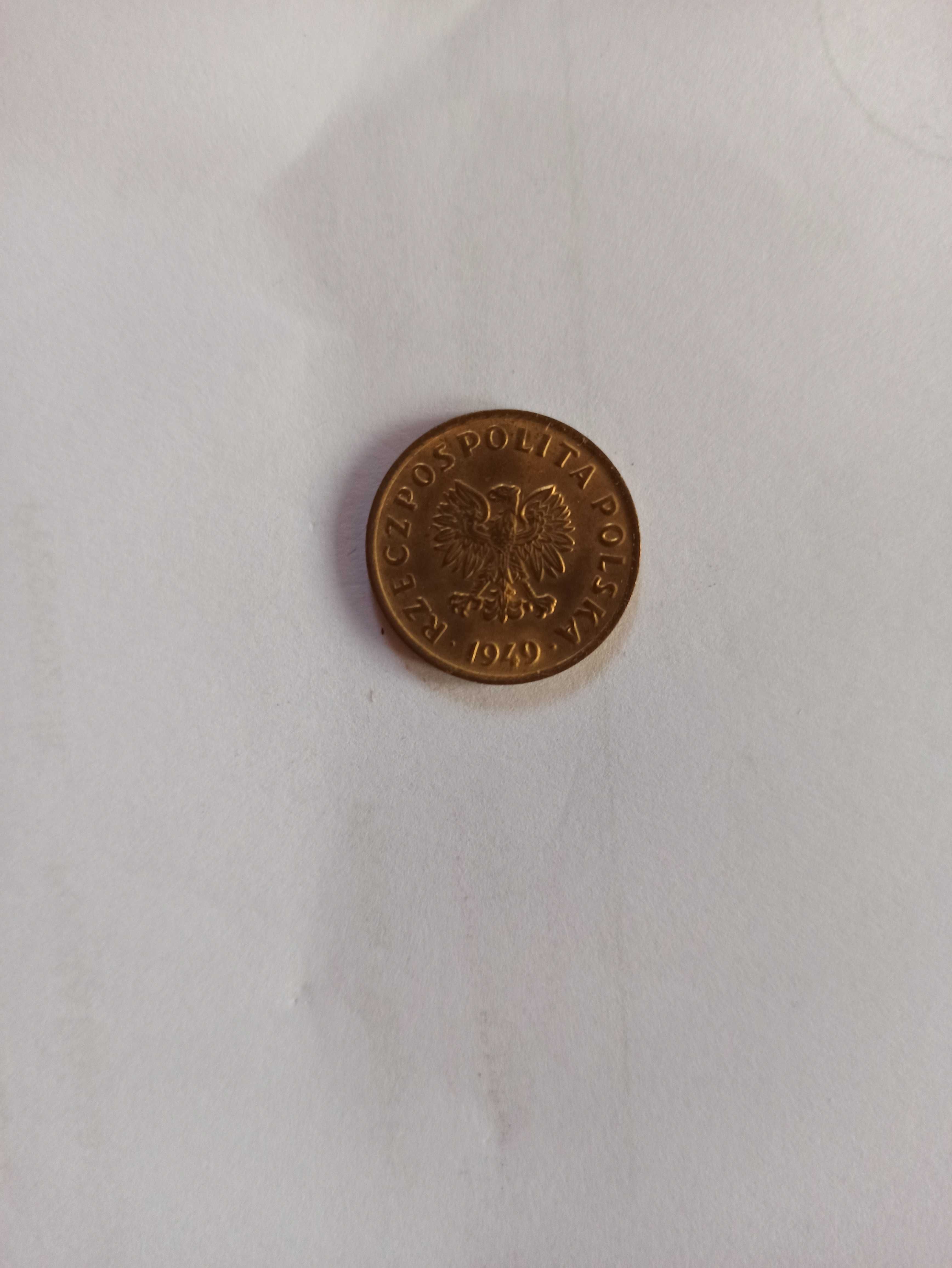 moneta 5 gr z 1949r.