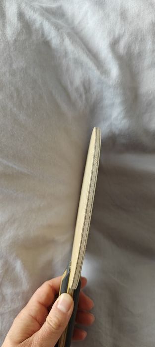 Nittaku Acoustic Inner Carbon Revision G ST