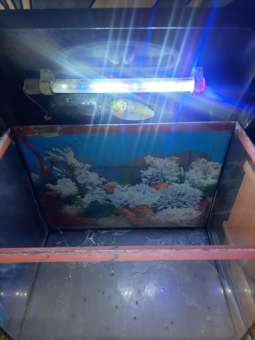 Akwarium proste 30l.