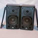 Monitory BNS excelent 12 Kolumny BNS Ex-12