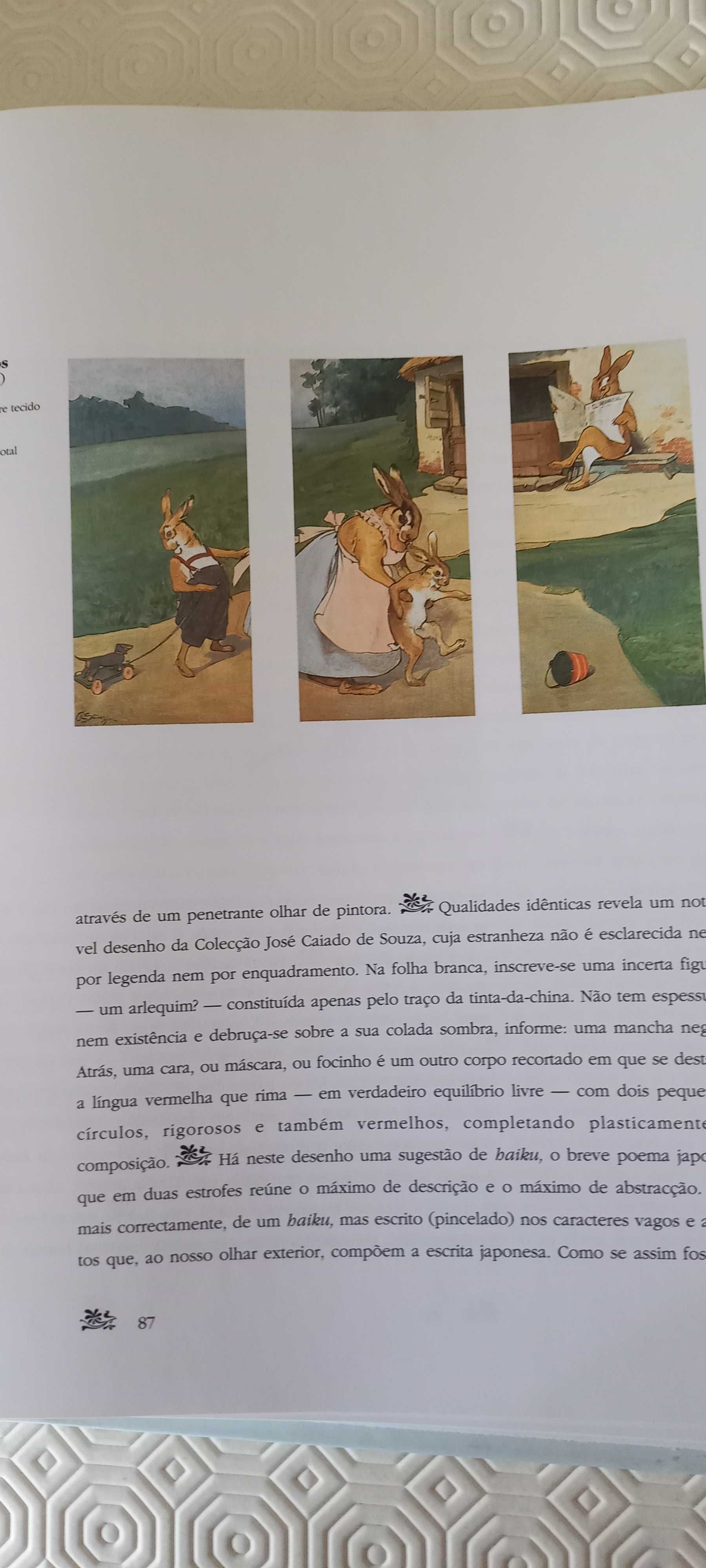 Livro sobre pintura de Aurélia de Sousa