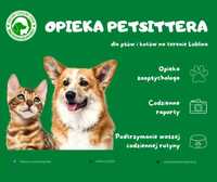 PETSITTER LUBLIN Opieka dla psów i kotów, wyprowadzanie psów