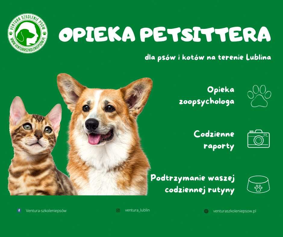 PETSITTER LUBLIN Opieka dla psów i kotów, wyprowadzanie psów