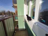 Siatka dla kota i przeciw gołębiom, Sprzątanie mycie balkonu, montaż