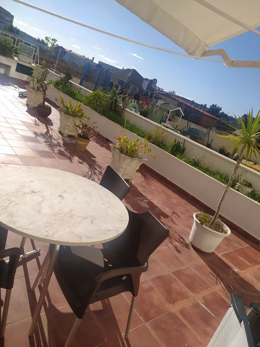 Dá-se terra de cultivo/ plantio