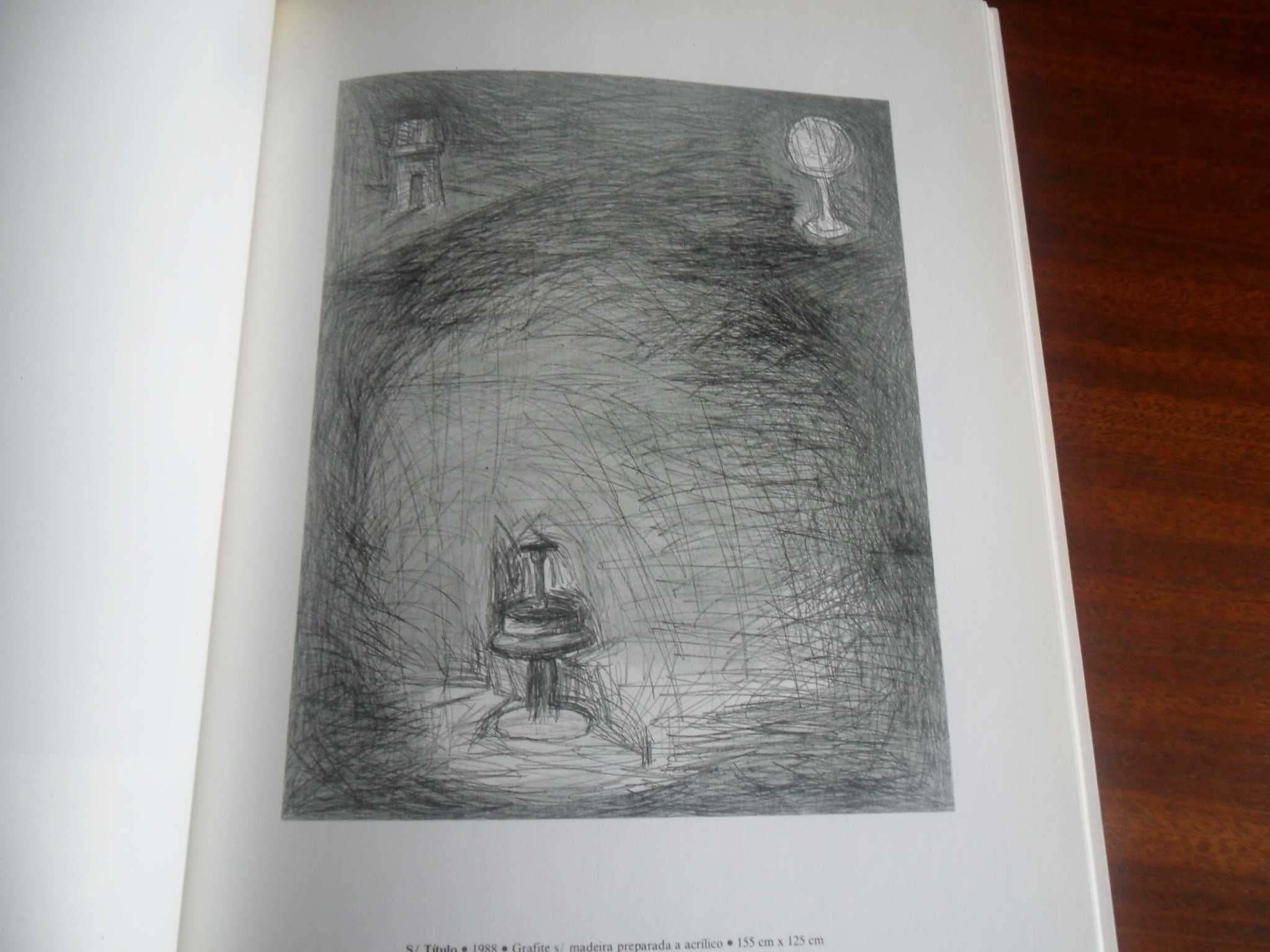 "Pedro Calapez - Desenhos sobre Madeira" - Catálogo de Exposição 1989