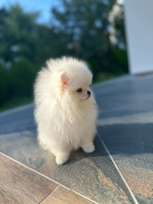 Мініатюрна дівчинка