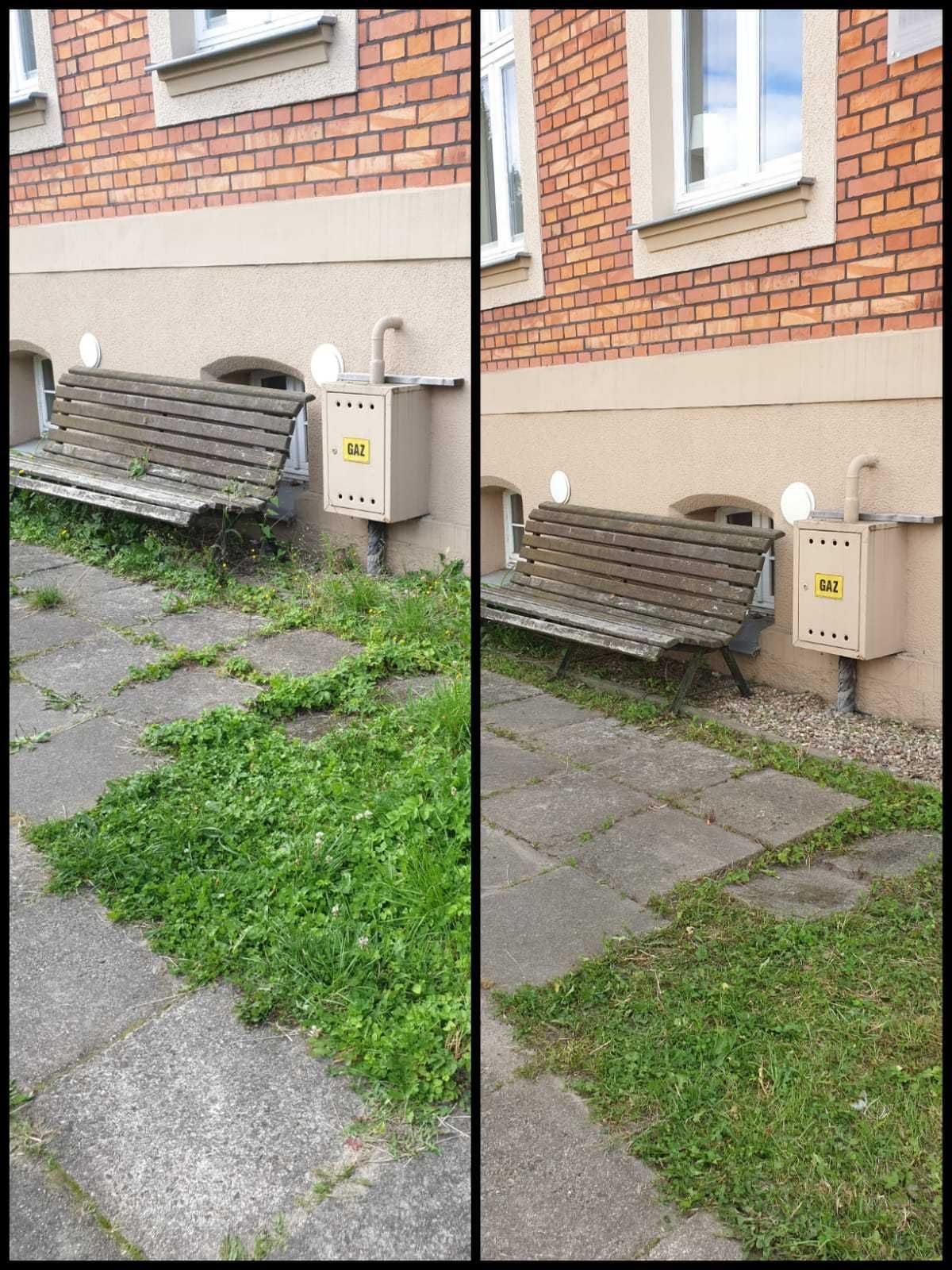 Koszenie trawy / Przycinanie krzewów / Pielęgnacja zieleni