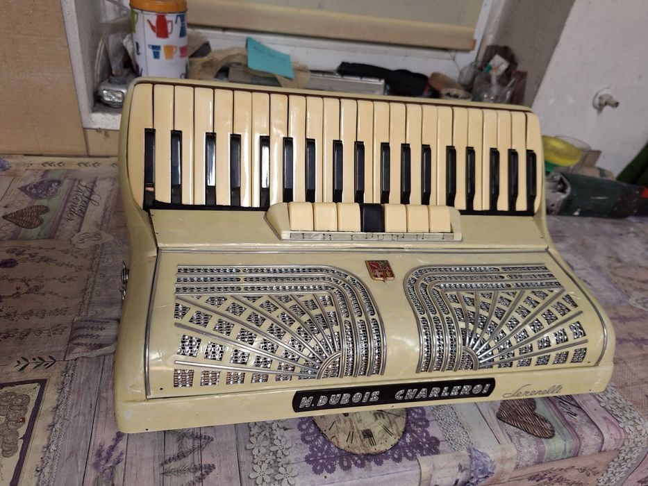 Włoski arodeon Serenelli 120b.