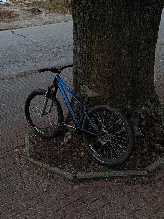 Marin alcatraz doinwestowany