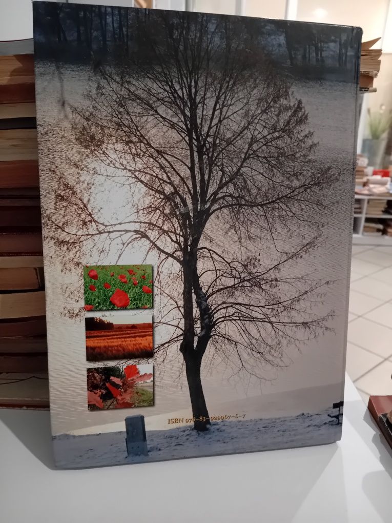 4 pory roku na Krajnie Album