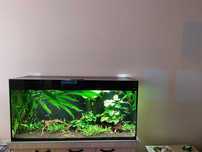 Akwarium Aquael Glossy 260 L