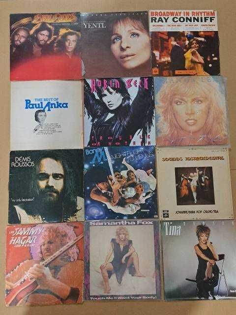 Coleção de Discos de Vinil