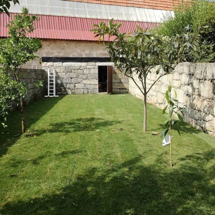 Relva tapete natural