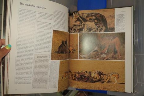 Livro " A Vida Selvagem - Animais da Savana" Selecões Reader's digest