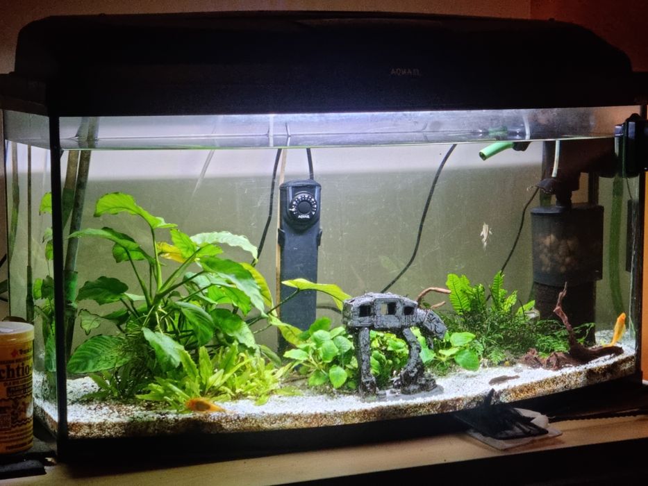 Akwarium 100 l - pełne wyposażenie